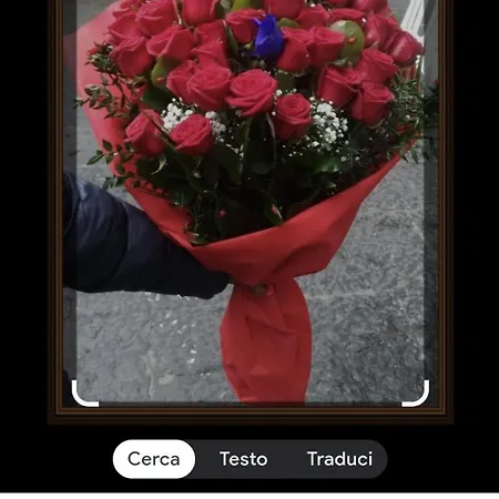 Le Rose * Gênes
